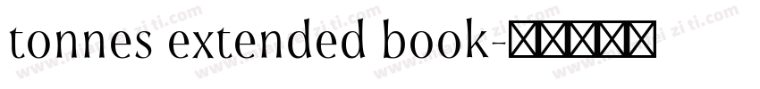tonnes extended book字体转换
